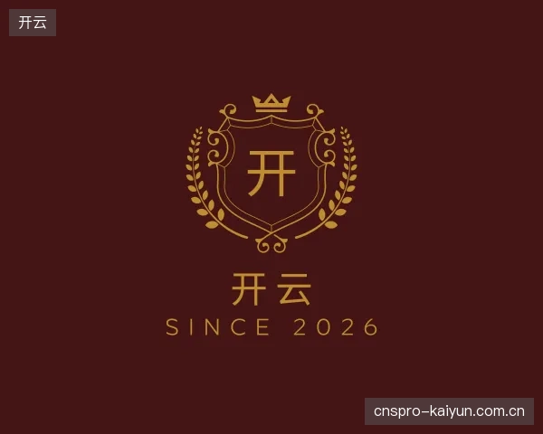 关于开云团队